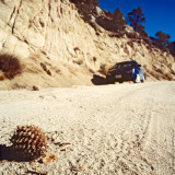 Large Pine Cone on the road, Sierra Nevada, CA, USA