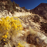 Sierra Nevada Mountains, CA, USA