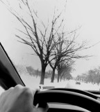 Reflections On A Wicked Ride