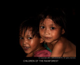 CHILDREN OF THE RAINFOREST.jpg