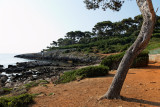 Le Sentier du Littoral