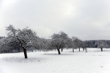 Siebengebirge, 2010