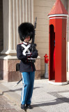 Palace Guard