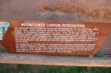 Ancient petroglyphs found in Moab
