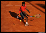 Monfils 2996.jpg