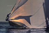 Voiles Antibes Mariska 5460h.jpg