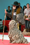 Bergamasco and a shepard