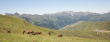 Col du Soulor