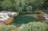 Cevennes