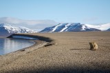 Templefjord