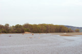 2009 Essex River Race scenes 38.jpg