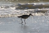 Naples, Florida