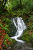 Ephemeral Falls, Agness Rd., Curry Co. OR