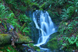 Ephemeral Falls, Agness Rd., Curry Co. OR