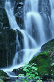 Ephemeral Falls, Agness Rd., Curry Co. OR