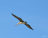 Circling the Marina