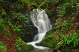 Ephemeral Falls, Agness Rd., Curry Co.