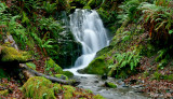 Ephemeral Falls, Agness Rd., Curry Co. OR