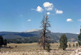 Ramshaw Meadow, Golden Trout Wilderness
