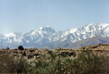 Mt. Williamson and Sierra Crest