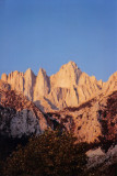 Whitney Crest in Morning Sunlight