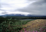 Along Denali Hwy, Alaska