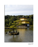 The Golden Pavilion - Rokuon - Ji Temple