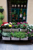 Street Scenes, Windows of Italy