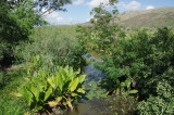 image 96509101