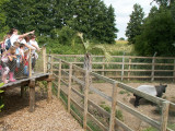 a school visit