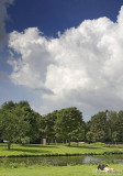 Enjoying summer in a Dutch park