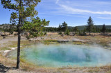 A Thermal Spring Yellowstone  _DSC8140.jpg