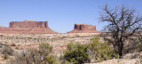 Monitor and Merrimac Buttes _DSC3073.jpg