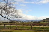 Bacchus Marsh Farmland