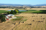 Farm and hay bales