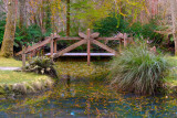 Pond bridge in Autumn
