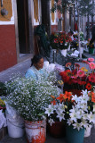 flower seller, Plaza del Baratillo