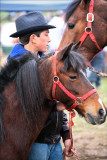 Horse Auction.