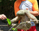 Ill have some of that leaf