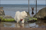 Blanca at the Beach