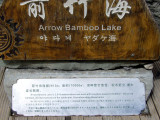 Arrow Bamboo Sea