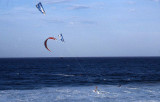 Kite surfers at Palm Beach.jpg