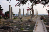 Roman period columns