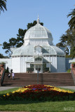 Conservatory of Flowers - Main Room