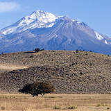 Mount Shasta