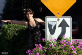 Good Direction