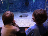 20091204_1506.jpg