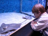 20091204_1511.jpg