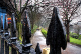 020610_0163.jpg