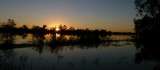 Murray River sunrise
